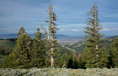 Twelve Mile Butte-Fremont Winema