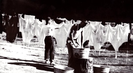 282848 Laundry Day, Quinault CCC Camp, Olympic NF, WA 8-1933 photo