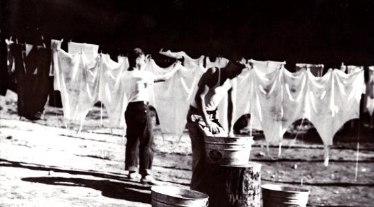 282848 Laundry Day, Quinault CCC Camp, Olympic NF, WA 8-1933