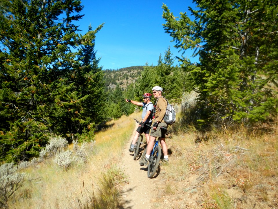 Mountain bikers on the Pacific Northwest Trail along the Kettle Crest, Colville National Forest