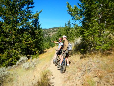 Mountain bikers on the Pacific Northwest Trail along the Kettle Crest, Colville National Forest photo