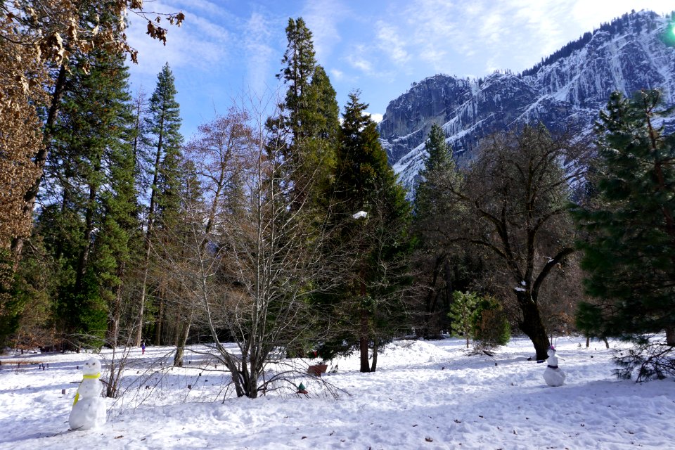 Yosemite Valley, CA (Unedited)