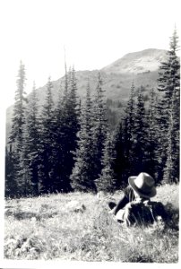 Along the Cascade Crest Trail Harts Pass Chelan NF
