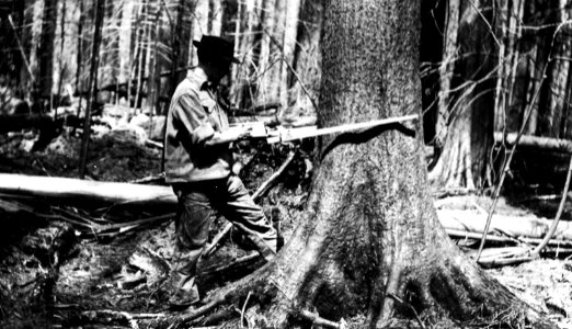 Olympic NF - Measuring DBH, Skagit River photo