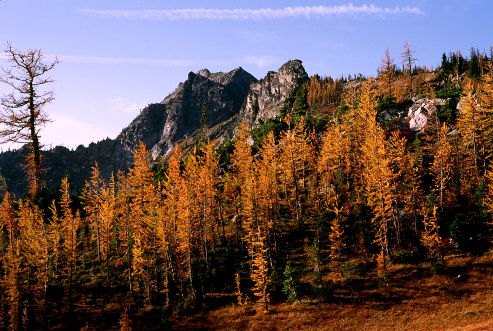 Alpine Lakes Wilderness, Okanogan-Wenatchee National Forest-10.jpg