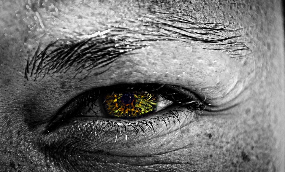 Macro eye colors
