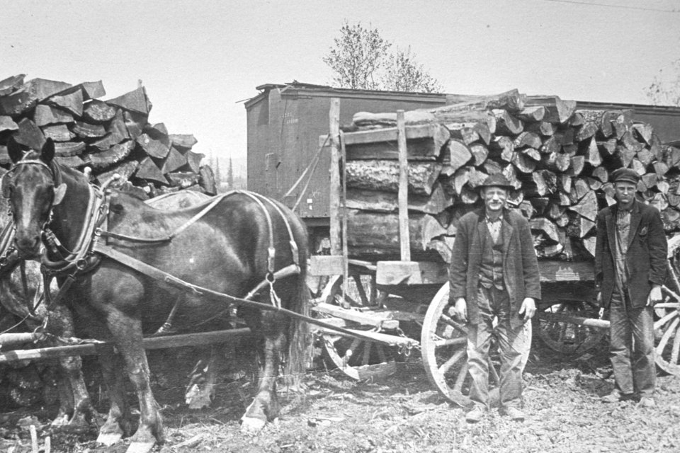 404 Timber cut to make into planks for corduroy roads