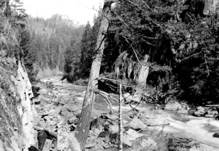 John Kuhns Next to No Umpqua River in Spring 1911