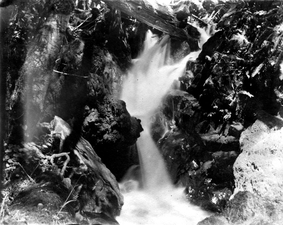 Umpqua NF - Creek, OR c1910 photo