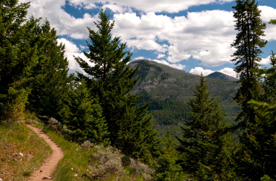 The Pacific Northwest Trail winding along the side of Jungle Hill