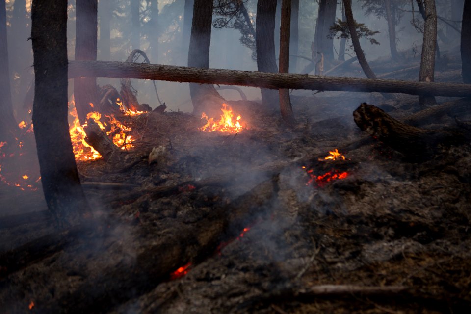 wildfire-emitting-smoke-close