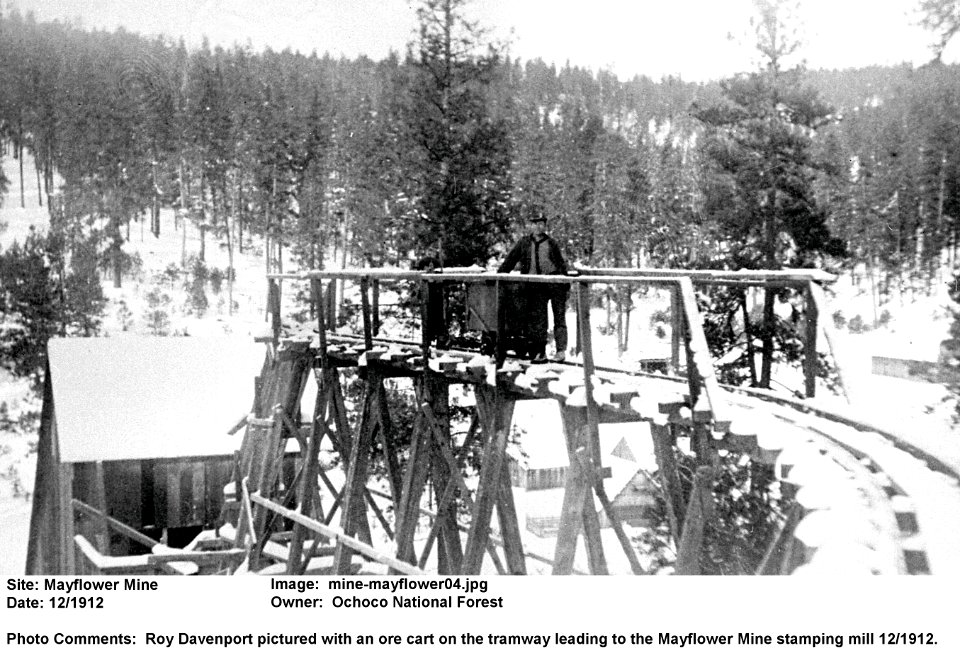 mine mayflower04