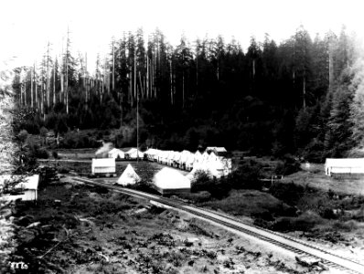 8889 Camp 3-A Toldeo, OR