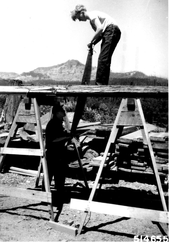 514655 CCC Whipsawing Cedar, Columbia NF, WA 1935