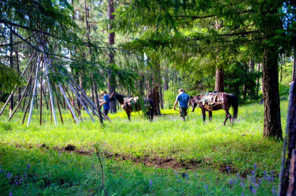 Wilderness Stewardship Skills Training at Mt Adams Ranger District-187