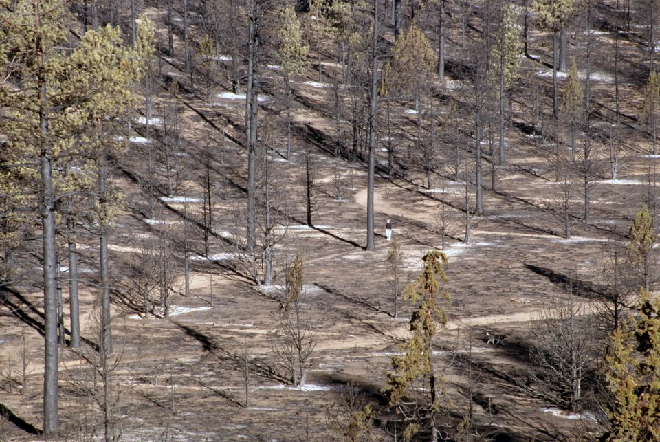 334 Bend,OR Deschutes National Forest,Skeleton Fire