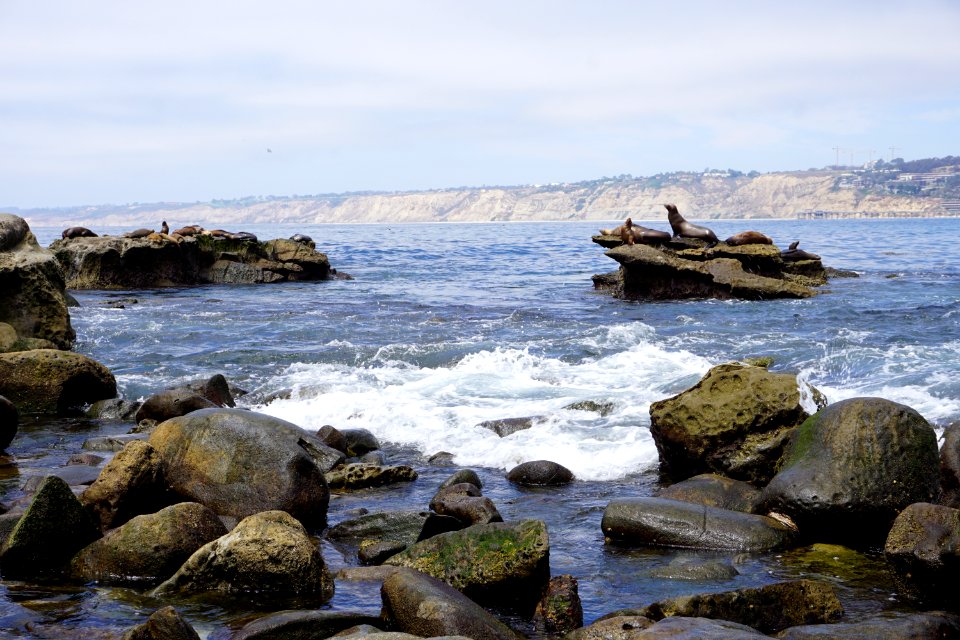 La Jolla Cove, CA (Unedited)