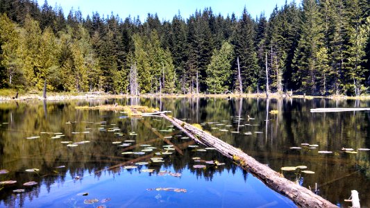 Lily Lake on the Pacific Northwest Trail in Washington's Blanchard State Forest