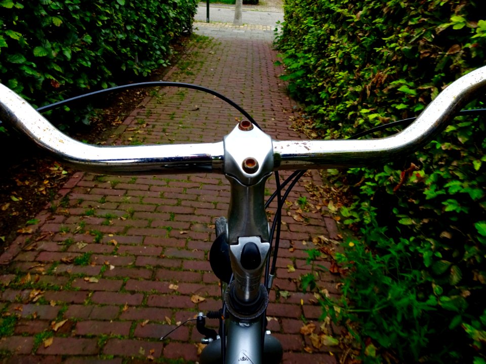 Photo whilst cycling