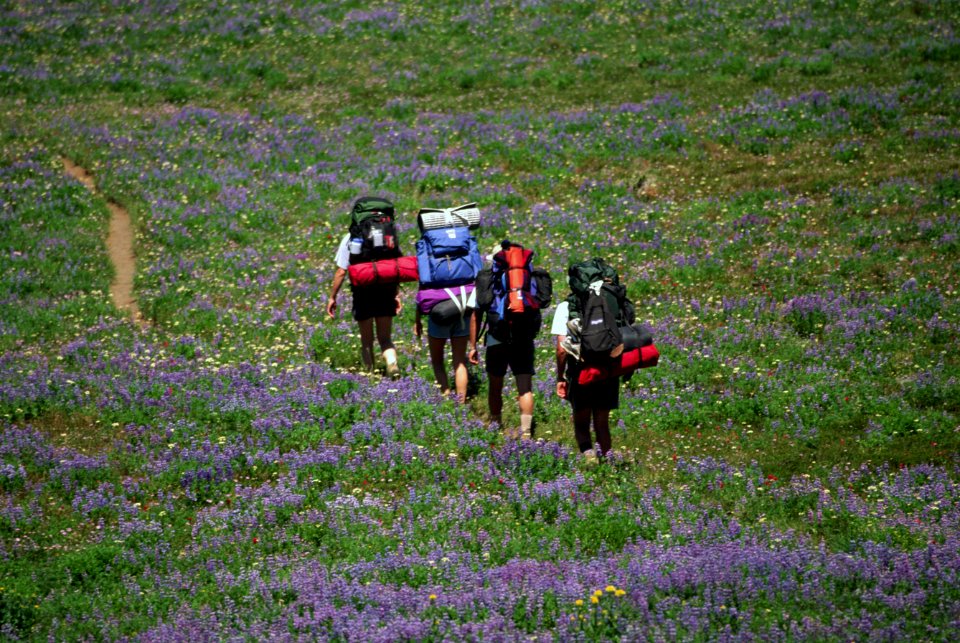 Willamette National Forest, Backpackers hiking trail .jpg