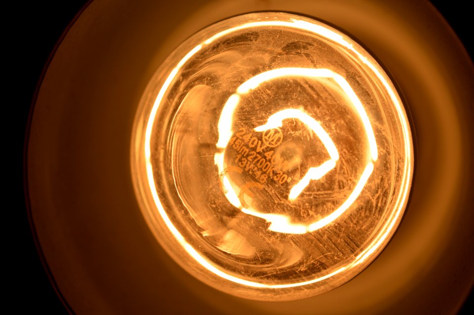 Light Bulb