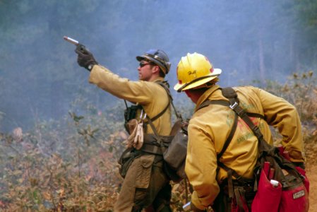222 Rogue River-Siskiyou National Forest Biscuit Fire