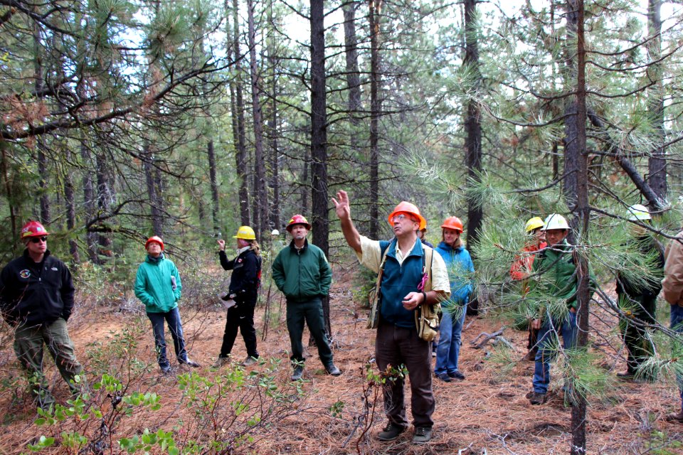 Greater La Pine Basin Cohesive Strategy Project