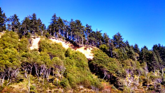 Aptly named Yellow Banks beach along the PNT in Olympic National Park's Wilderness Coast