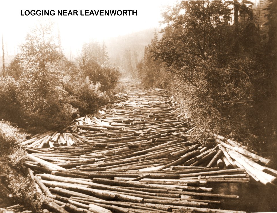 Logging Near Leavenworth