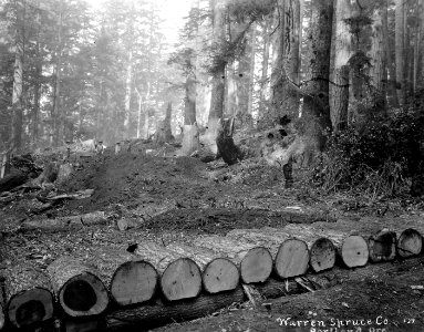 137 Log Culvert to be Covered, Camp 7-P, East of Otter Rock