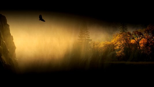 flying in fog