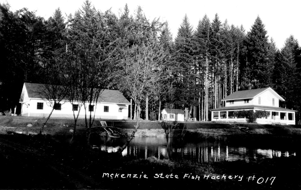 #017 McKenzie State Fish Hatchery