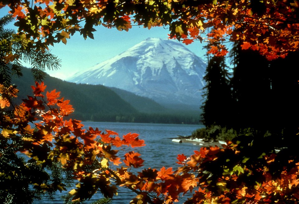 004MSH Leaves frame mountain resize