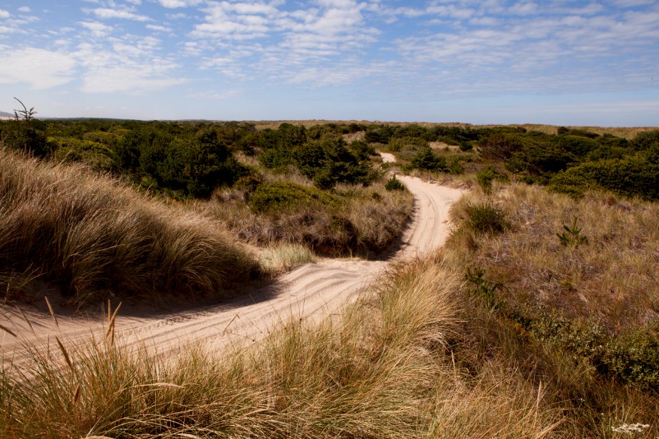Rolling Trail at Oregon Dunes, Siuslaw National Forest