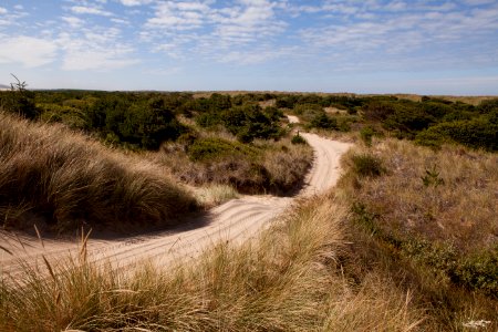 Rolling Trail at Oregon Dunes, Siuslaw National Forest photo