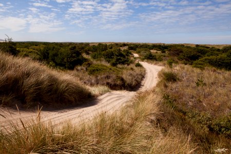 Rolling Trail at Oregon Dunes, Siuslaw National Forest