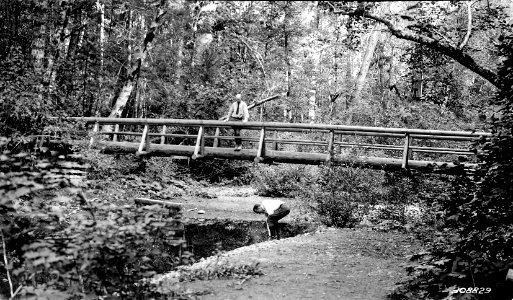 308829 Foot Bridge, McKenzie Bridge FC, Willamette NF, OR