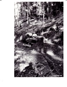 282270 Filling Clay Hole on Skokomish Road, Olympic NF. WA 10-1933 photo