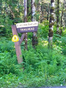 Elliott Creek Goat Lake Trail Sign, Mt. Baker-Snoqualmie National Forest. Photo taken by Anne Vassar June 23, 2020.
