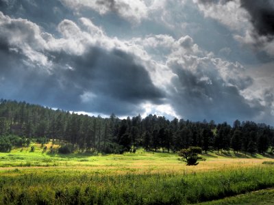 Forest with dark clouds photo