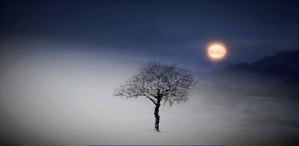 lonely tree and moon
