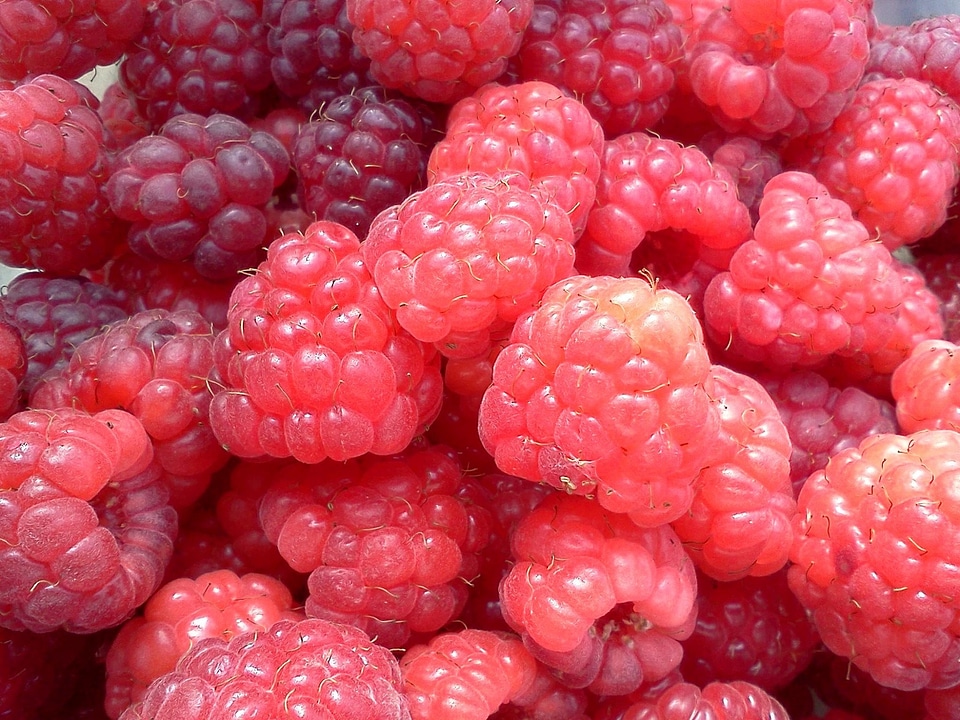 Healthy red sweet