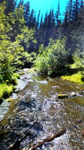 Copper Creek Buckhorn Wilderness