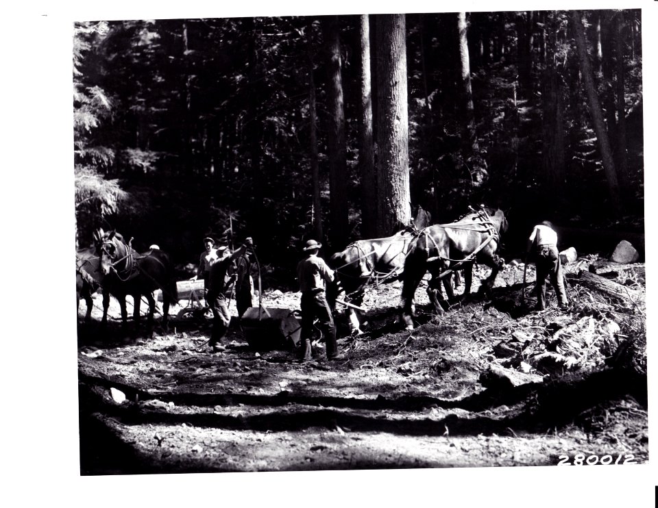 280012 CCC Building Rec Road Along White River Snoqualmie NF, WA 8-1933
