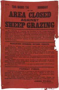 sheep grazing sign