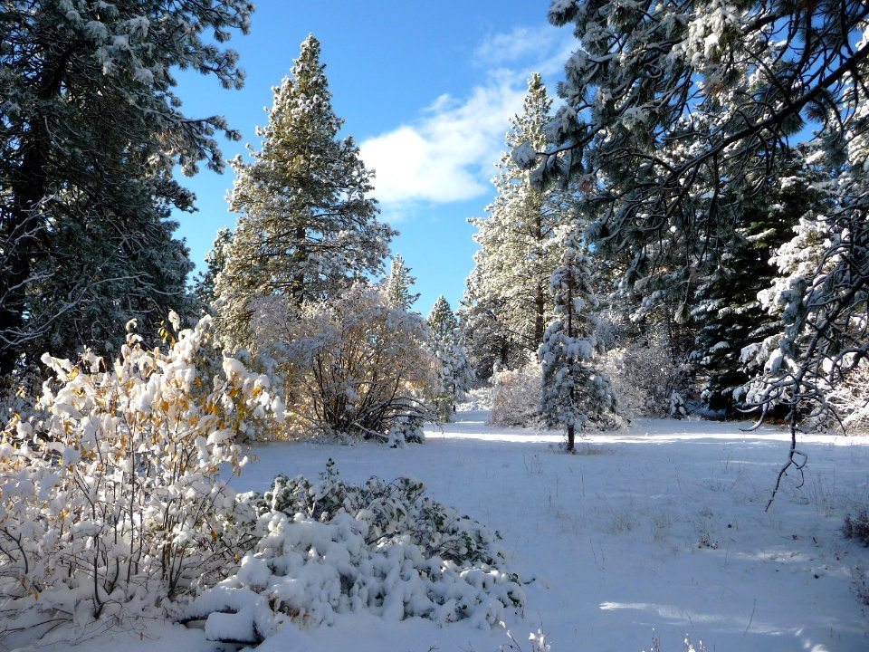 Auburn Reservoir in Winter, Wallowa-Whitman National Forest