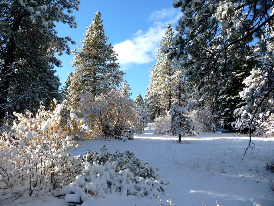 Auburn Reservoir in Winter, Wallowa-Whitman National Forest photo