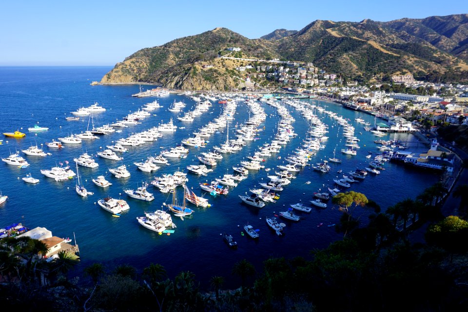 Catalina Island, CA (Unedited)