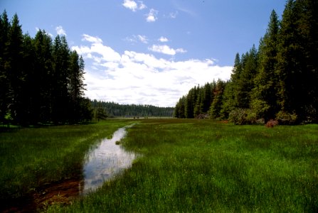 Mountain Stream, Mt Hood National Forest.jpg photo