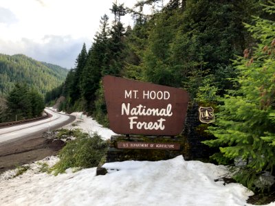 Mt. Hood National Forest entrance sign along road photo